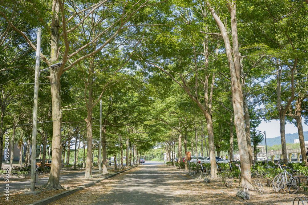 The beautiful campus of National Dong Hwa University