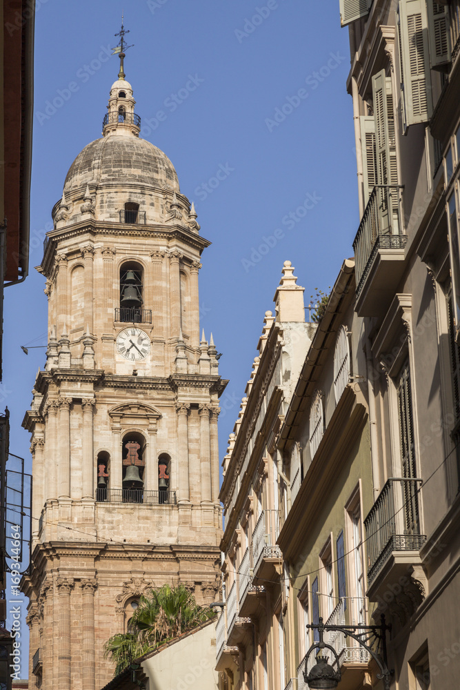 Fototapeta premium Malaga Cathedral