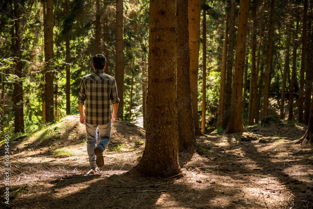 Obraz premium Active young adult man enjoy trekking in wild pine forest on mountain in sunny summer day outdoor