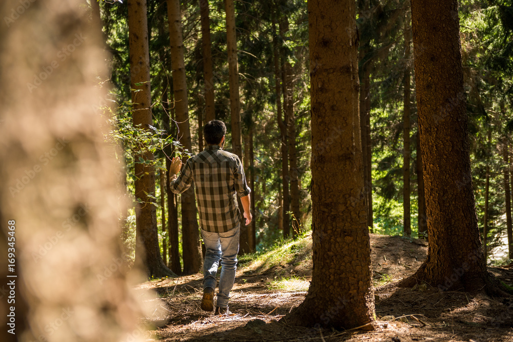 Obraz premium Active young adult man enjoy trekking in wild pine forest on mountain in sunny summer day outdoor