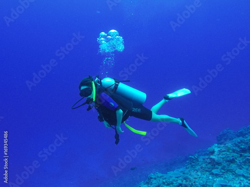 diving in Niue