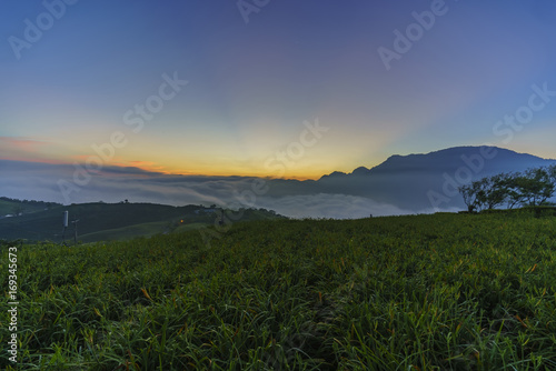 Sunrise with oblique light of the famous and beautiful Daylily flower at sixty Stone Mountain