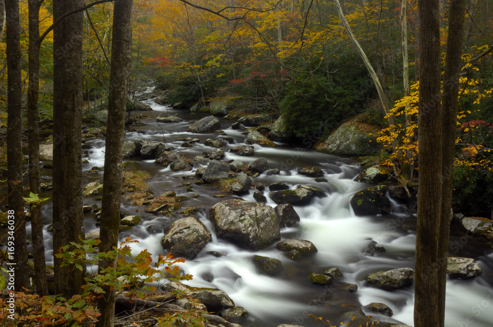 Little Pigeon River in Autumn at Great Smoky Mountains National Park Little Pigeon River in Autumn at Great Smoky Mountains National Park