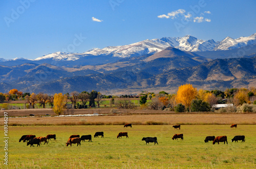 Cattle ranch near Boulder, Colorado
