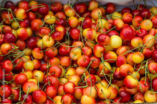 Pile of Rainier cherries photo