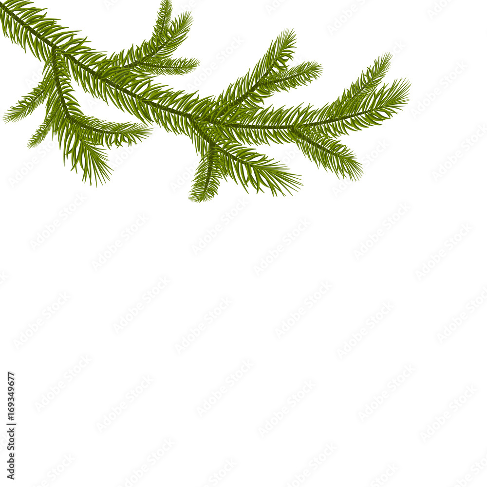 Symbol of the New Year. A green branch of spruce. Isolated against white background. illustration Symbol of the New Year. A green branch of spruce. Isolated against white background. illustration