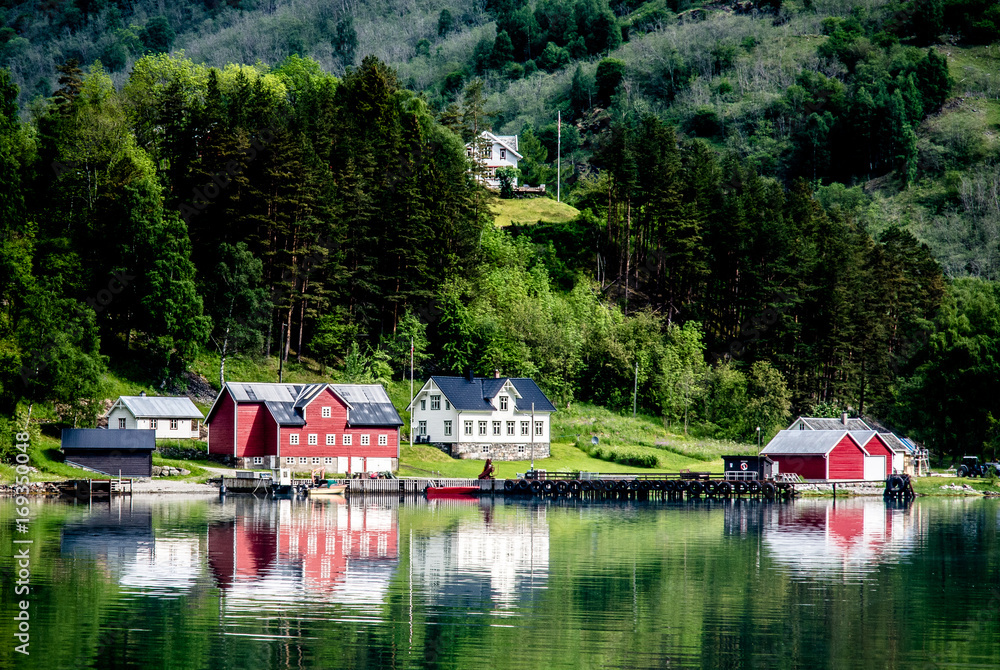 Norway Fjord Landscape