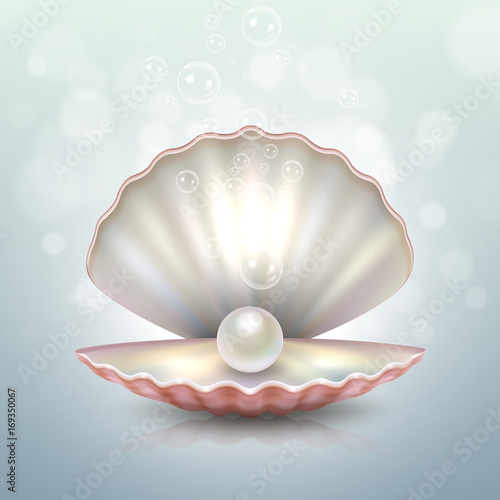 Realistic vector beautiful natural open sea pearl shell closeup with reflection. Design template, clipart, icon or mockup in EPS10.