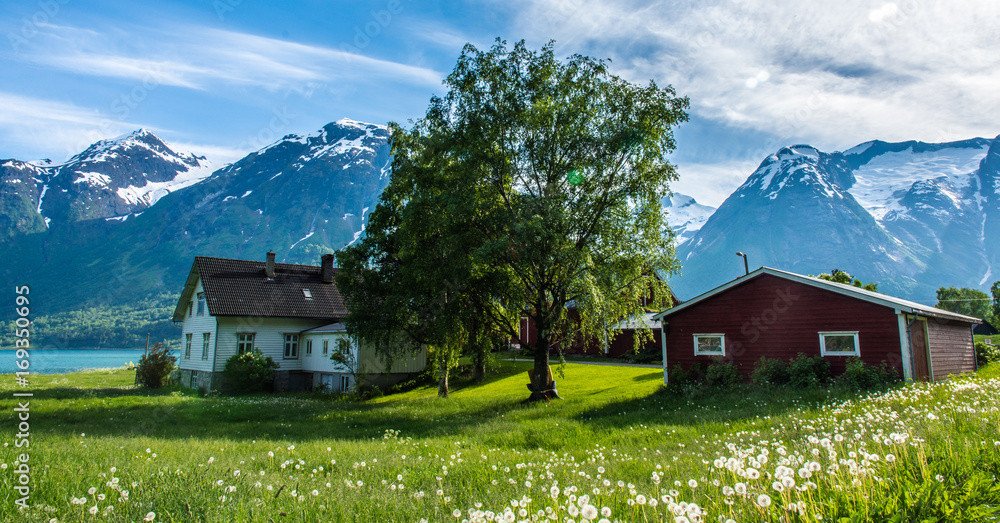 Farmhouse and Tree