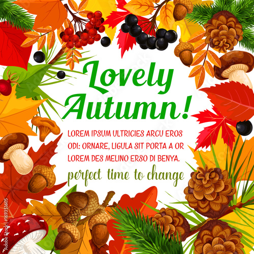 Autumn poster template with frame of fall nature