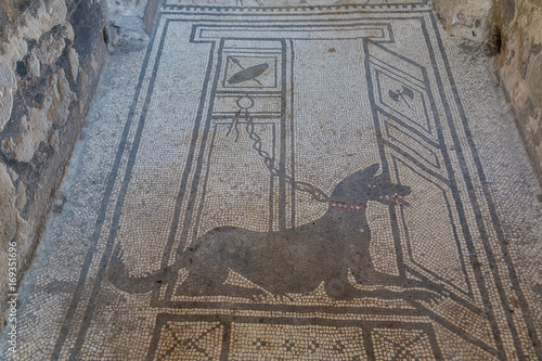 Pompeii city in Italy photo