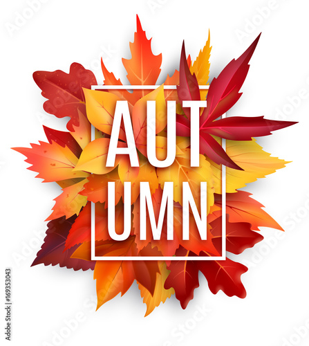 Autumn leaf poster with fall season foliage