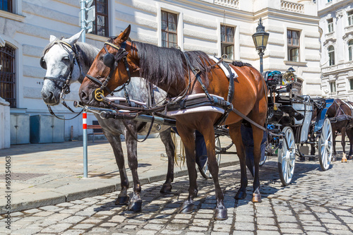 Horse carriage in Vienna, Austria © Sergii Figurnyi