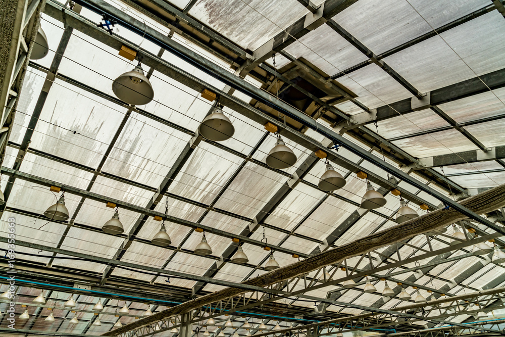 Roof of greenhouse