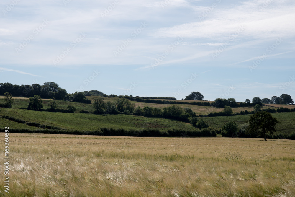 イギリスの田園風景