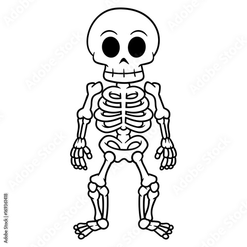 Cartoon Skeleton