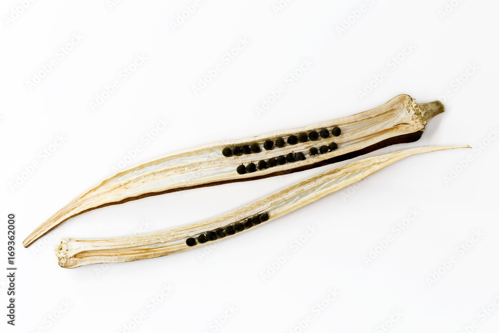 Fototapeta premium Dried Abelmoschus esculentus / Okra seed isolated on a white background.