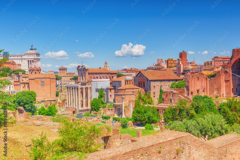 Archaeological and historical objects in Rome, united by the name - Roman Forum and Palatine Hill.