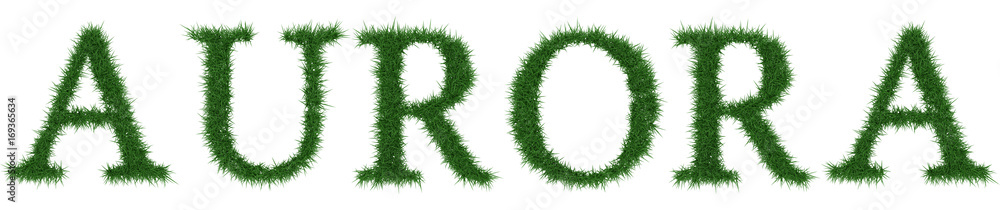 Aurora - 3D rendering fresh Grass letters isolated on whhite background. Aurora - 3D rendering fresh Grass letters isolated on whhite background.