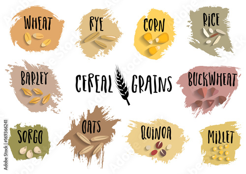 Vector set of cereal emblems with black handwritten lettering and hand-drawn stylized grains Fototapete