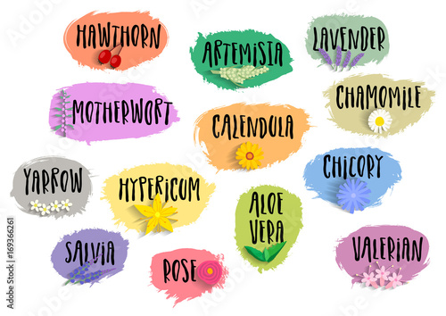 Vector set of trendy emblems, tags of medicinal herbs. Various natural organic herbal additives for drinks, soap, shampoo, pharmacy products with handwritten black lettering and sketches of plants.
