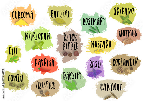 Vector set of trendy emblems for spices packing. Various natural herbal seasoning for food preparation with handwritten black lettering on blots.