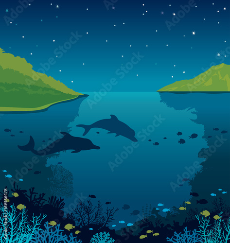 Night sky  underwater sea  islands  dolhpins and coral reef.