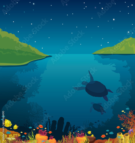 Underwater sea, turtles, coral reef, island, night sky.