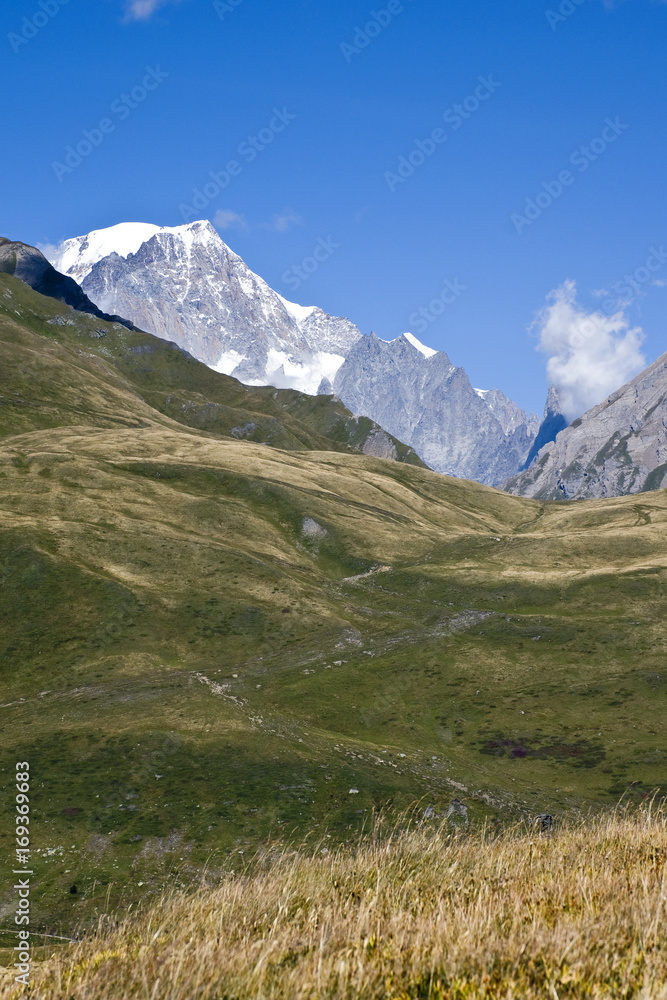 Il Monte Bianco,si erge maestoso sopra i verdi pascoli