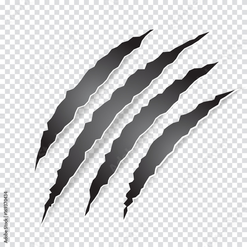 Claws scratches animal or monster on transparent background. Vector illustration. photo