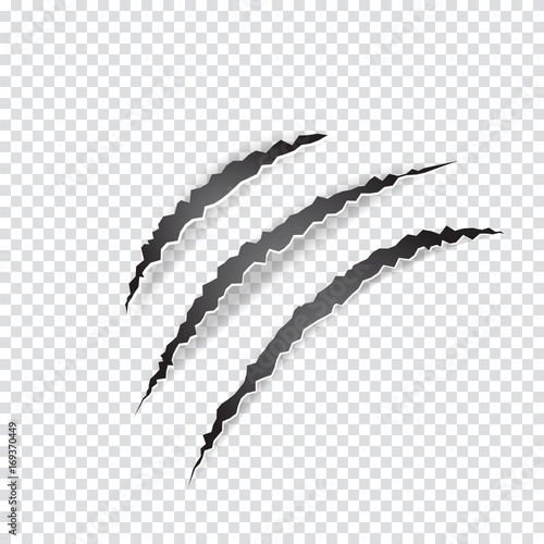 Claws scratches animal or monster on transparent background. Vector illustration. photo