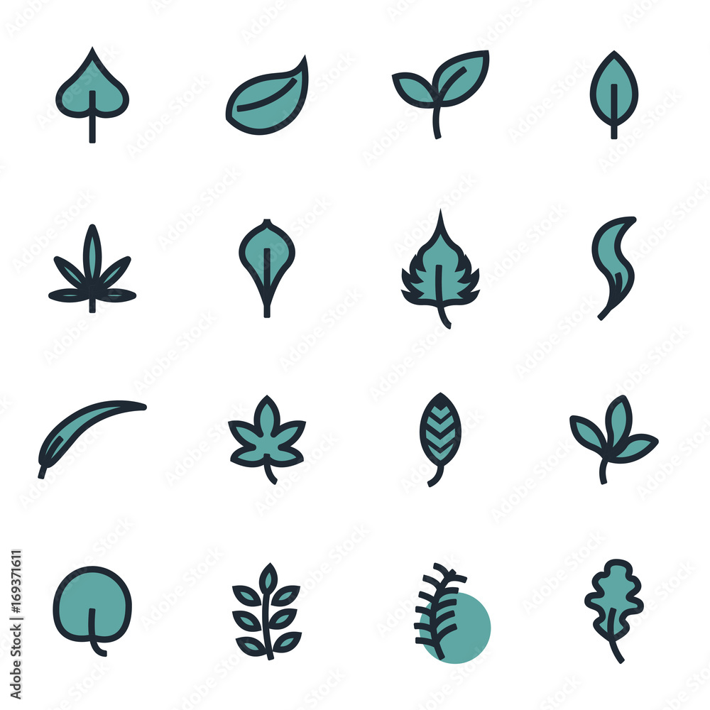 Vector flat leaf icons set