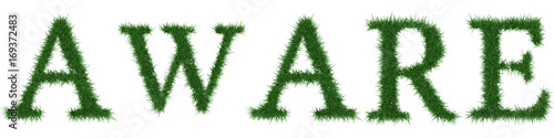 Aware - 3D rendering fresh Grass letters isolated on whhite background.