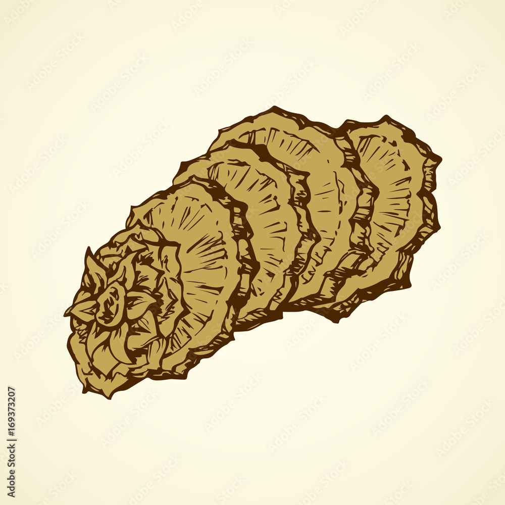Pineapple. Vector drawing Pineapple. Vector drawing