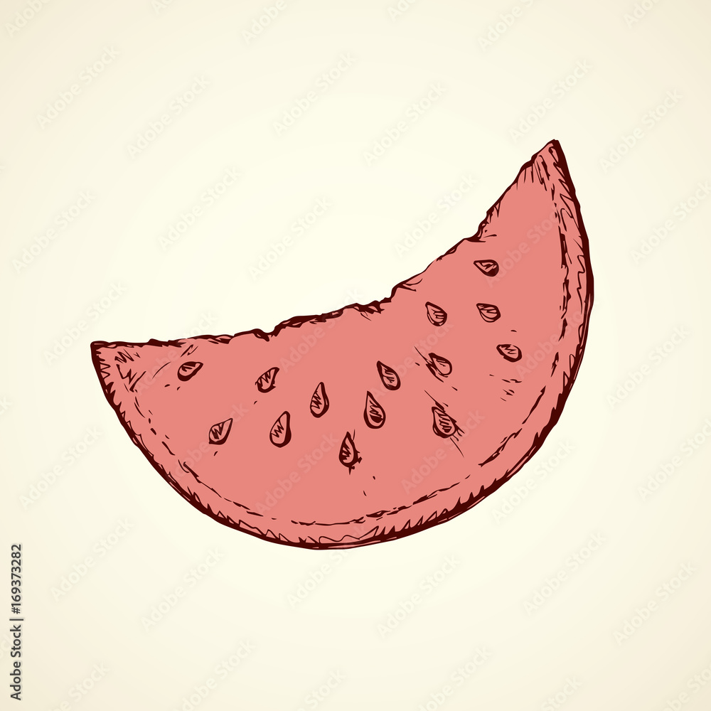 Watermelon. Vector drawing Watermelon. Vector drawing