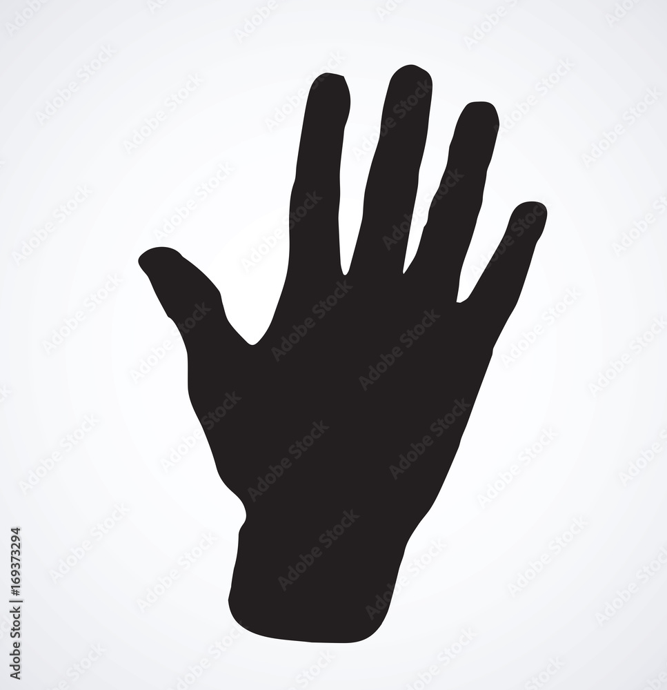 Obraz premium Palm. Vector drawing
