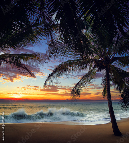 Fototapeta Naklejka Na Ścianę i Meble -  Sunset Beach with palm trees and beautiful sky.