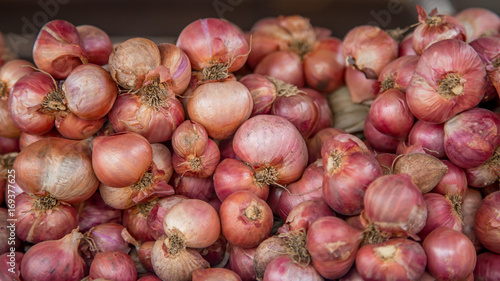 onion in the market