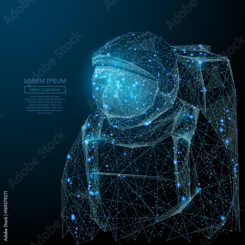 Abstract image of a astronavt in the form of a starry sky or space, consisting of points, lines, and shapes in the form of planets, stars and the universe. Vector space wireframe concept.