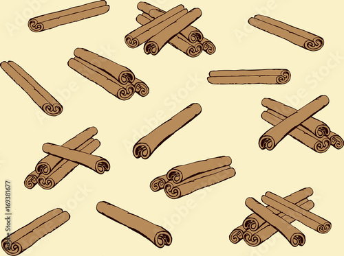 Cinnamon. Vector drawing