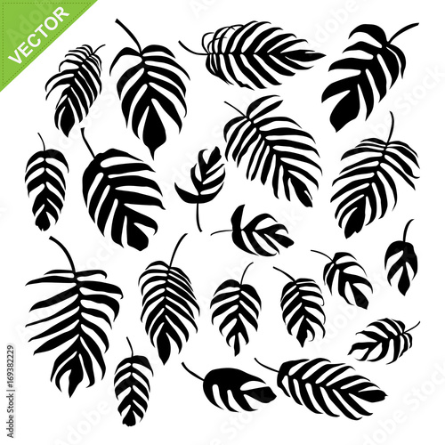 Monstera leaves silhouettes vector
