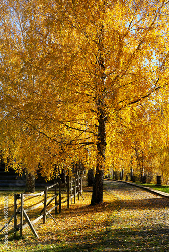 Autumn, beautiful day in fall season