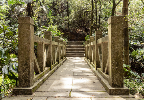 Old stone bridge inside forest park