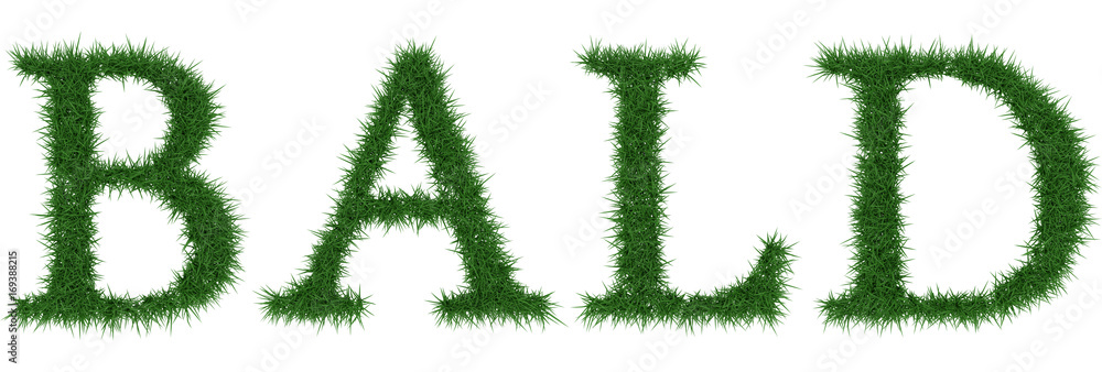 Bald - 3D rendering fresh Grass letters isolated on whhite background. Bald - 3D rendering fresh Grass letters isolated on whhite background.