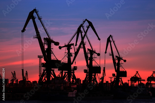 Silhouettes of port cranes against the backdrop of sunset, St. Petersburg