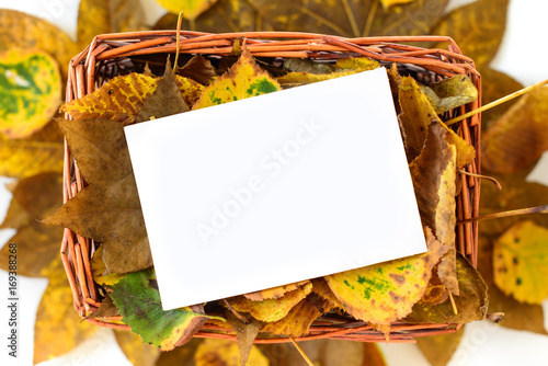 Autumn leaves in straw basket with white copy space card