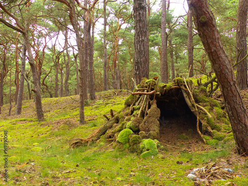Provisorische Höhle aus Moos mit Feuerplatz aus Steinen
