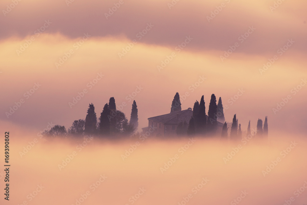 Beautiful foggy sunrise in Tuscany, Italy with vineyard and clouds. Natural idillyc seasonal autumn background
