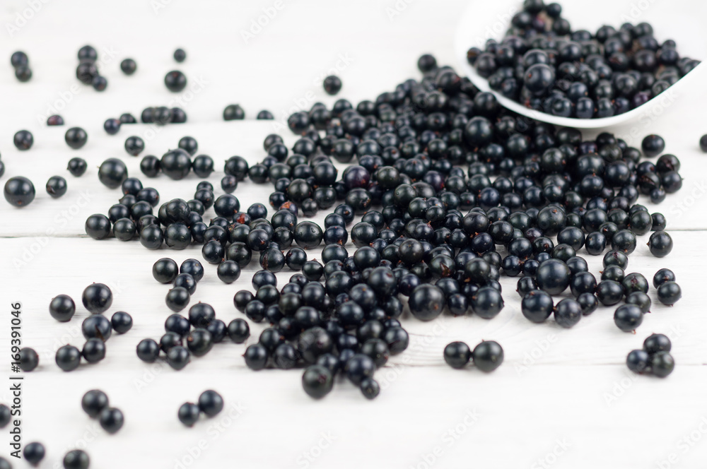 Many fresh ripe blackcurrant in white bowl and scattered on old white rustic wooden planks Many fresh ripe blackcurrant in white bowl and scattered on old white rustic wooden planks