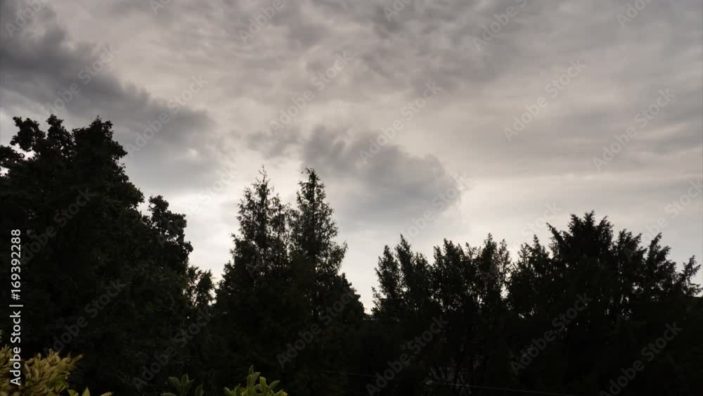 Clouds above trees in time lapse in 4K resolution Clouds above trees in time lapse in 4K resolution